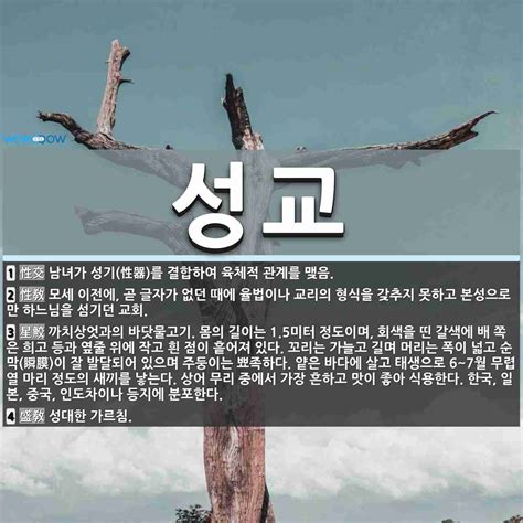 성교 .